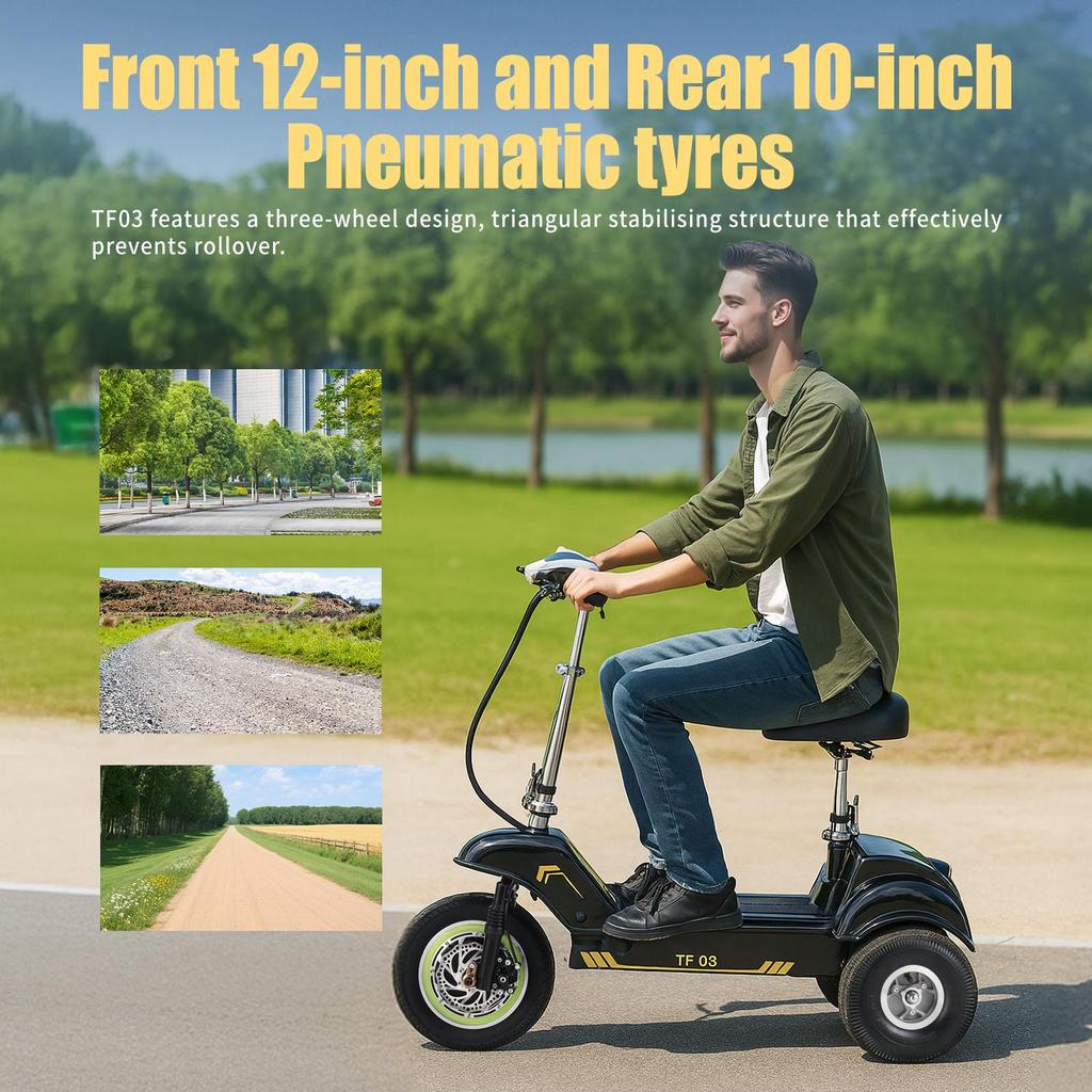 Twofish TF03 Three-wheeled Electric Scooter 500W Motor 48V15Ah Battery 28km/h Max Speed 30km Max Range