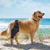 Cat Leg Protector Reduces Pain Injury Recover Legs Wrap Pet Knee Pads Dog Support Brace