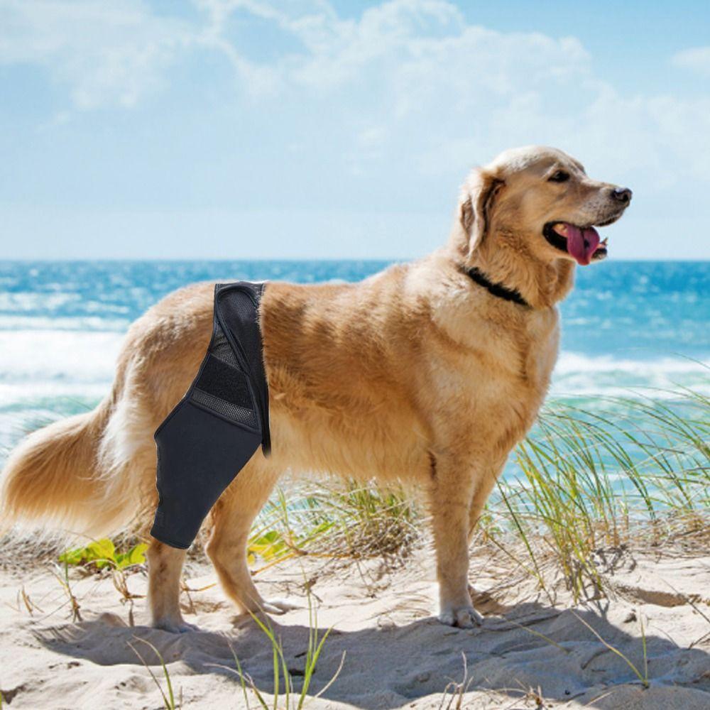 Cat Leg Protector Reduces Pain Injury Recover Legs Wrap Pet Knee Pads Dog Support Brace