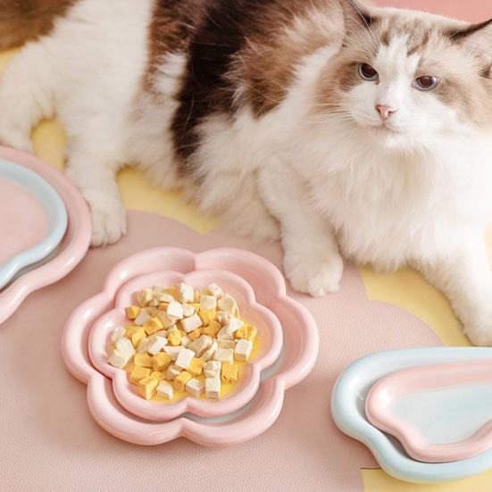 Ceramic Cats Feeding Bowl Kitten Food Whisker Friendly Dish