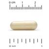 Экстракт коры французской сосны, Oligopin, 100 мг, 60 растительных капсул