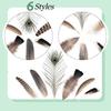 40/48Pcs Assorted Mixed Feathers 6 Styles Peacock Feathers Pheasant Plumage  Handmade Dream Catcher