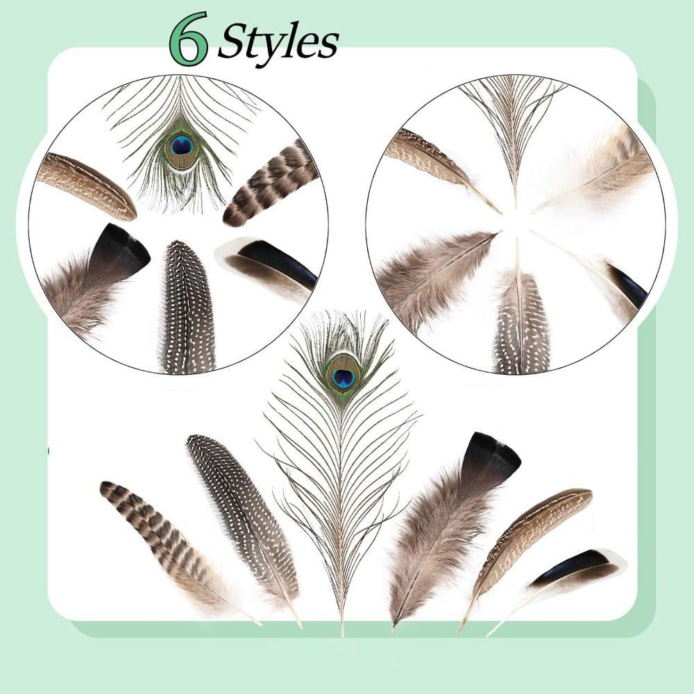 40/48Pcs Assorted Mixed Feathers 6 Styles Peacock Feathers Pheasant Plumage Handmade Dream Catcher