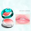 12g Lip Balm Fast Absorption Non-sticky Lip Care Natural Ingredients Lip Moisturizer with Mirror for Girl