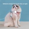 Поводок для кошек со светоотражающим нагрудным ремнем, универсальный для щенков и собак в любое время года, для выгула собак, специальный поводок для кошек с защитой от разрывов