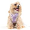 Breathable Mesh Cat Harness Leash Set Adjustable Dog Harness Vest Cat Tank Top Chest Strap  Outdoor