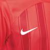 Nike T Shirts Men's Red Crew Neck Moderate Straight Fit HF0684-624