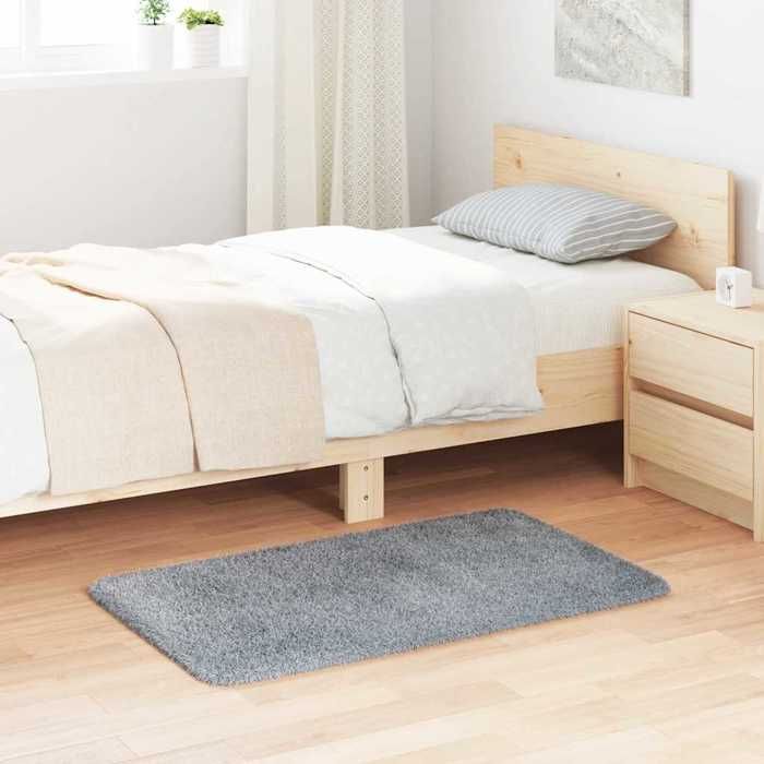 VidaXL Shaggy Rug with Long Pile Silver Grey 60x100 Cm Polyester, Rug, Bedroom Rug, Modern Rug, Living Room Rug, 4102812