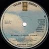 7inch Record ANDREW GOLD - Never Let Her Slip Away K13112 Asylum Records 1978 UK Rock Used