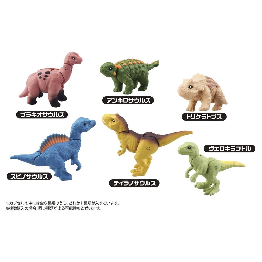 TAKARA TOMY Коллекция яиц динозавров, игрушечный динозавр, возраст Ania's DP-BOX 3+