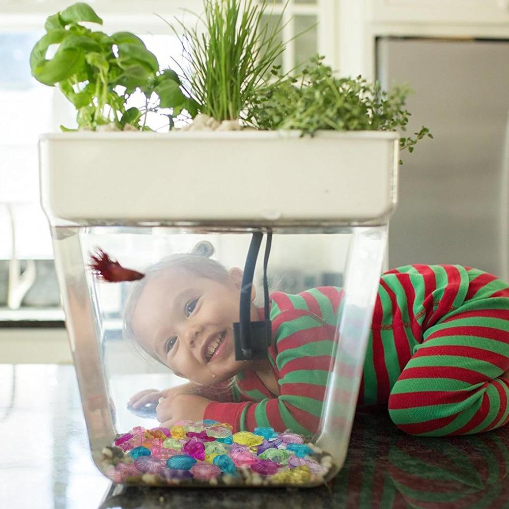 110Pcs Acrylic Seashells Acrylic Seashells Conch Starfish Beach Theme Sea Shells Party Decoration