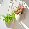 Креативный настенный белый подвесной цветочный горшок Серия Суккулентный цветочный горшок Цветочная корзина Цветочная композиция Декорация Садовое украшение