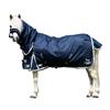 Gallop Ponie Combo Neck Duraproof 100g Horse Turnout Rug