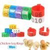 Пластиковые ободки для ног уток и гусей, птицы, кольца, сельскохозяйственные принадлежности, приспособления для птиц, зажимы для ног, кольца