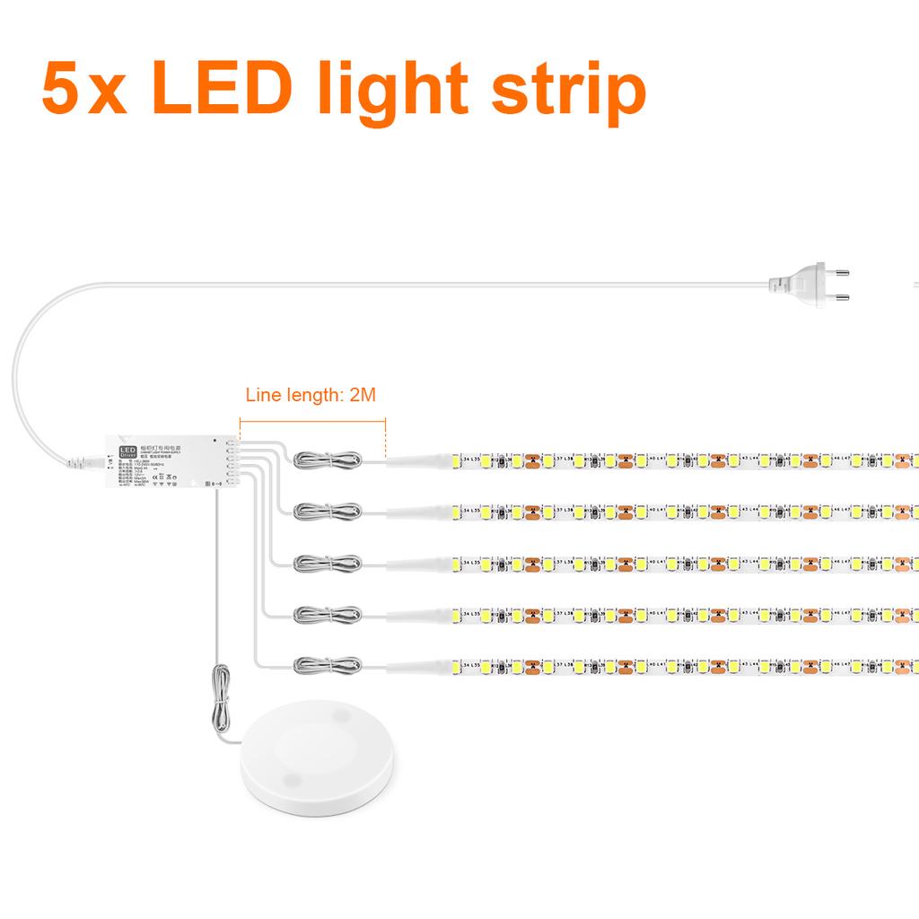Double Layer FPCB LED Strip Lights 12V Penetrable Wood Touch Sensor Switch DIY Dimmable Shelves Liquor Cabinet Backlight Lamp