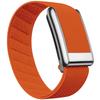 Whoop 5.0 Nylon Elastic Sport Band with Shiny Metal Frame (Gold/Silver)