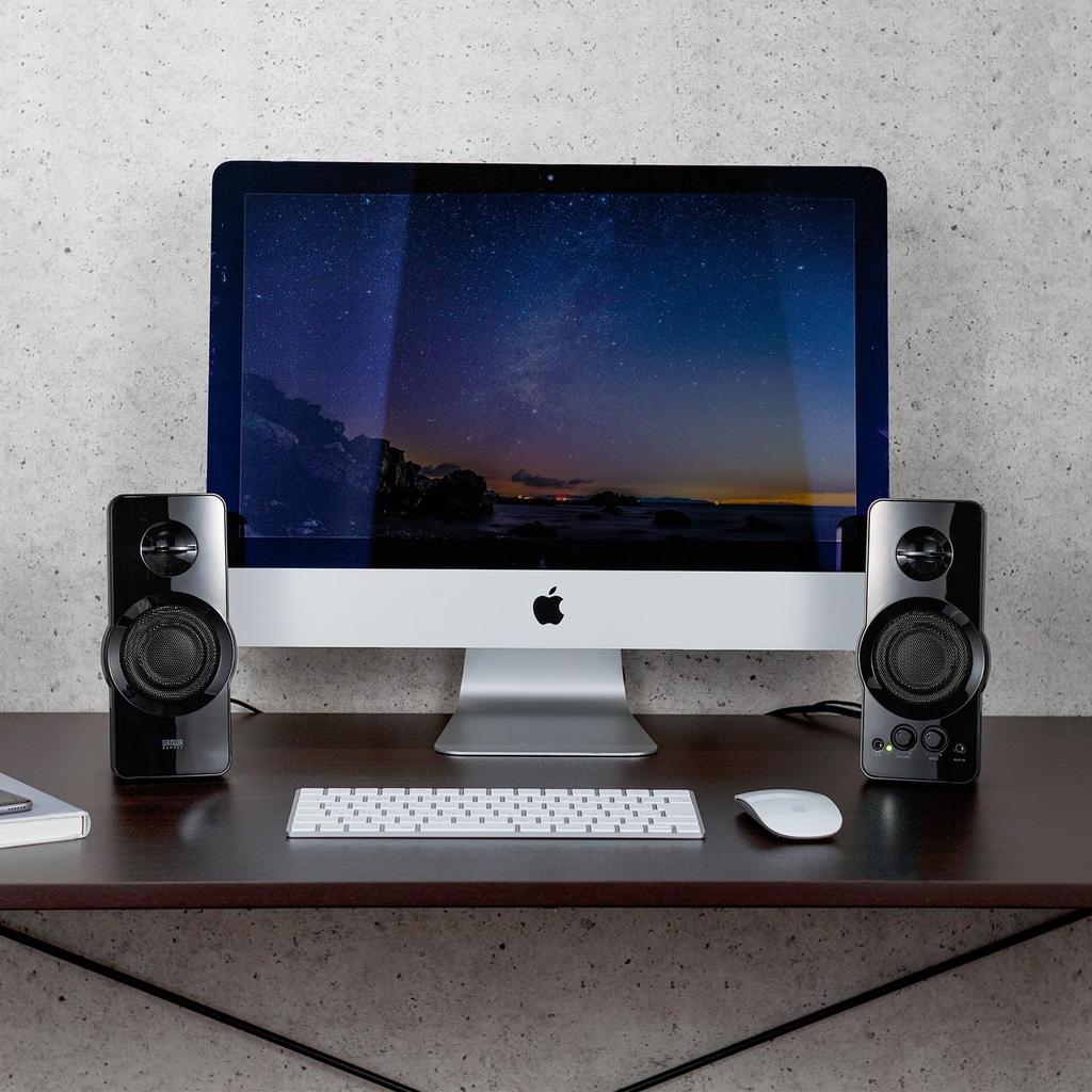 Sanwa Supply High Power USB Powered Speaker MM-SPL19UBK