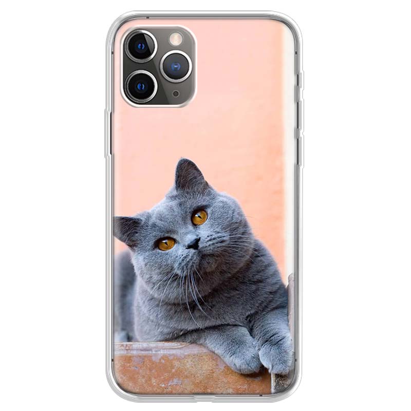 British Shorthair Cat Phone Case For iPhone 17 Air 11 13 Mini 14 15 Plus 16 12 Pro Max 16E SE 7 8 Pattern Soft TPU Back Cover 1