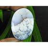 19X43X05MM Natural Dendrite Agate Oval Shape Cabochon Loose Gemstone 56Cts. SK-4176