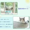 Shinyever Cat Hammock Window Cat Hammock Suction Cup Cat Window Bed Suction Cup Type Cat Window Bed Cat Window Hammock Stable Structure Easy