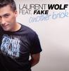 12-дюймовая пластинка LAURENT WOLF, FAKE - Another Brick DARK014 Darkness 2005 Франция Танцевальная и электронная Б/У