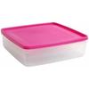 Lunch Box - BIGBUY COOKING - Square - 24 X 24 X 7 Cm - Multicoloured - Set of 12 Units