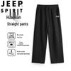Мужские повседневные брюки прямого кроя Jeep Spirit