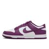 Nike Dunk Low Retro Viotech White DV0833-107 Мужской размер