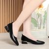 Soft Leather Rough Heel Single Shoes Women's Summer New Pointed Low Heel Women's Shoes White Work Shoes Women's Leather Shoes
