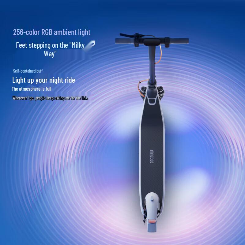 Ninebot E2 Series Electric Scooter (CN version)