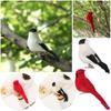 1/2PCS Foam Wedding Supply Home Decor Bird Model Artificial Animal  Simulation Parrot Real Feathers