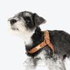 Y shaped leather pet harness for cat and small dogs metal accessories dog harness with leash set no pull light weight pet vest