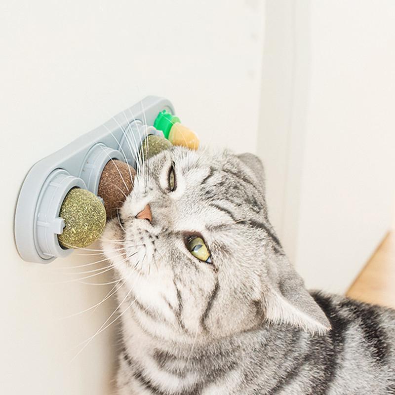 Natural Catnip Toys Silvervine Balls Teeth Cleaning Dental Wall Treats Extra Cat Energy Ball Edible Cat Lick Healthy Kitten Chew