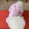 Cute Pet Clothes Soft Cat Princess Skirt Pet Supplies Pet Dresses  Autumn