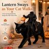 Adjustable Straps Headless Horseman Pet Costume Glowing Pumpkin Pet Rider Costume  for Cats