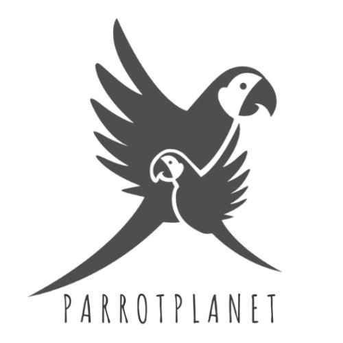 Premium Parrot Food | Orzechy Macadamia W Skorupce | Zdrowe Smakołyki Dla Wszystkich Papug 100G