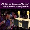 SD-309 3D Portable Household Karaoke System Wireless Bluetooth Dual Microphone Stereo Speaker