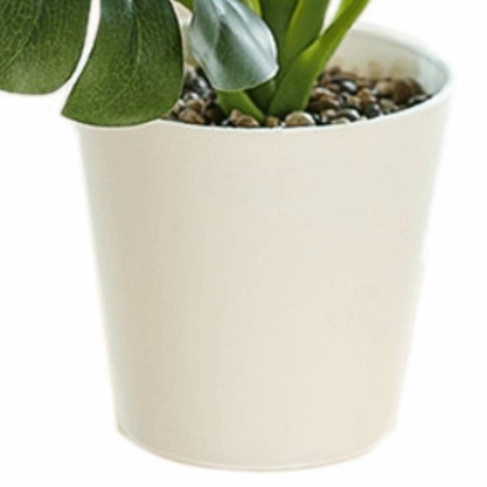 green evergreen foliage potted table ornament hotel guest room shelf display decor