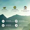 Himalaya Пищеварительный фермент N Organics с добавкой бромелайна и папаина | Поддерживает пищеварение и улучшает усвоение питательных веществ - Упаковка из 90 таблеток