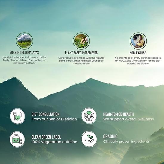 Himalaya Пищеварительный фермент N Organics с добавкой бромелайна и папаина | Поддерживает пищеварение и улучшает усвоение питательных веществ - Упаковка из 90 таблеток