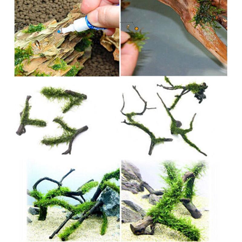 7 шт. фрагменты кораллов и мох водных растений, прикрепленный к камню для аквариума, мгновенный клей