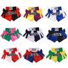 ANOTHERBOXER Unisex Muay Thai, Kickboxing, Sanda & Boxing Training Shorts
