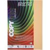 BRUSTRO Copytinta Цветная бумага для творчества, формат А4, 80 г/м², оттенок персика (АБРИКОС), Упаковка 30 листов. Двусторонний цветной для
