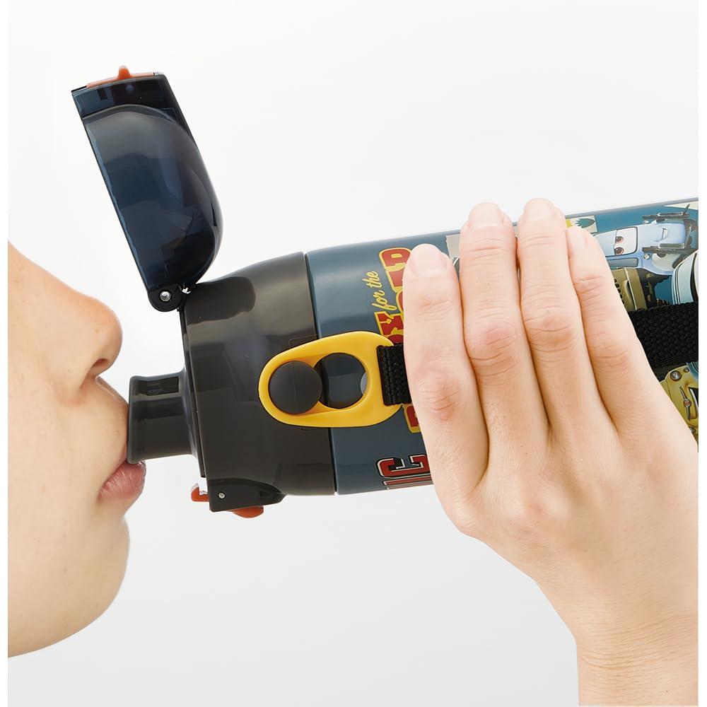 Бутылка для воды из нержавеющей стали Skater, 580 мл, Disney Cars 24, легкая, холодного типа, спортивная, для детей, для детей