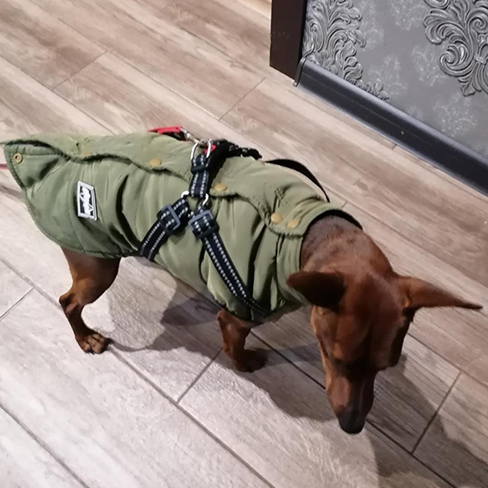 Водонепроницаемая одежда для собак, зимняя теплая одежда для маленьких и средних собак, светоотражающее пальто для щенков, куртка с регулируемой шлейкой, одежда для чихуахуа