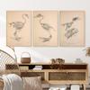 Nostalgic and Retro Bird Skeleton Painting Abstract Art Canvas Painting Contemporary Picture Prints and Poster Home Wall Decor