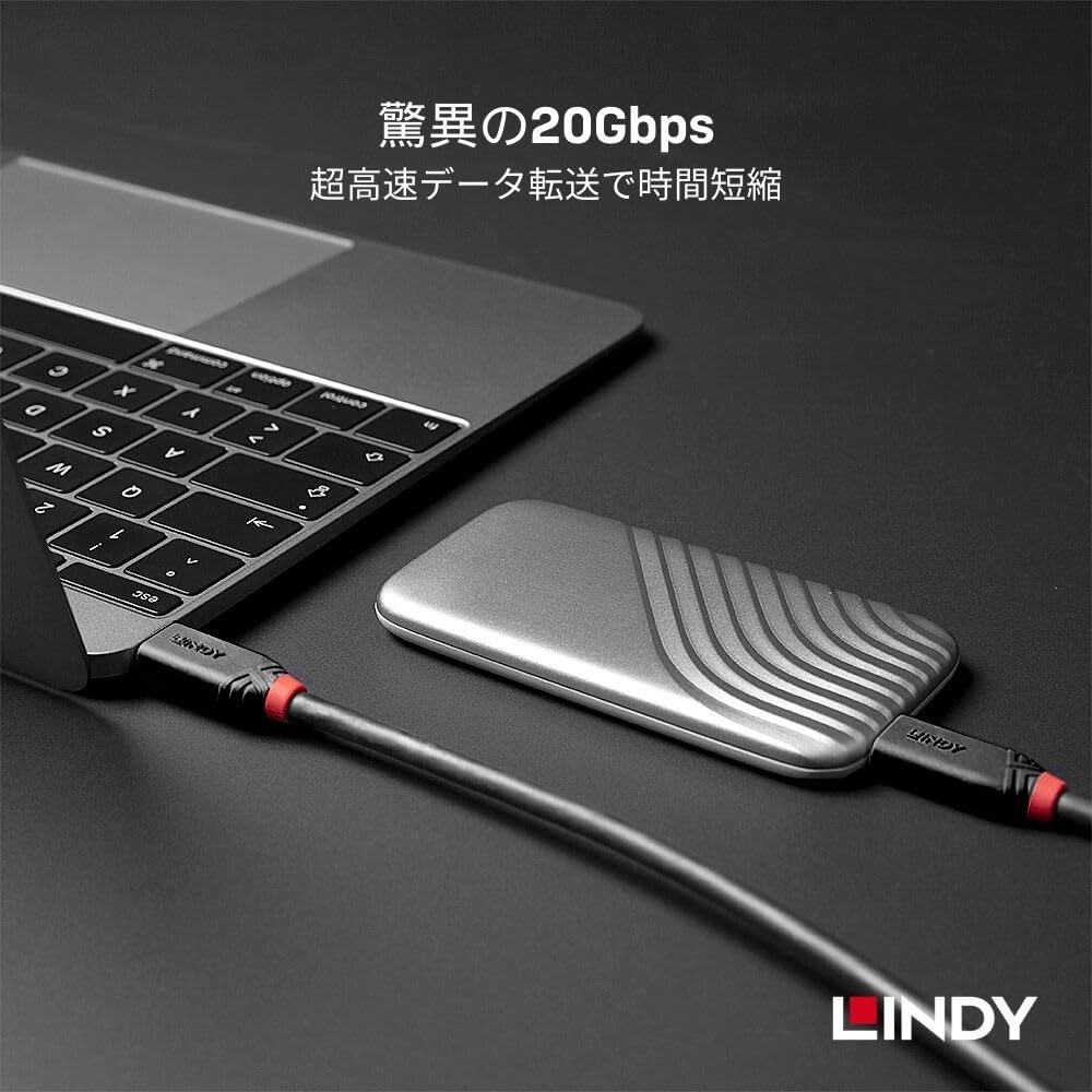 Lindy 0.5m Black Line USB 3.2 Gen 2x2 Type-C Cable 36905