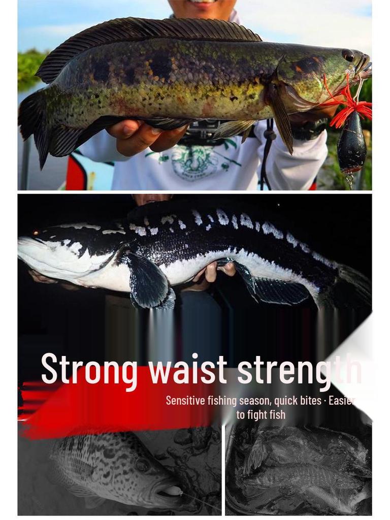 Портативный мини-телескопический спиннинг: Японский и корейский дизайн, Жесткий гладкий поплавок, Короткий кастинговый раздел E18