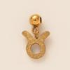 Stainless Steel 12 Constellation Pendant 12 Constellation Symbol Pendant Necklace Bracelet Furnace Vacuum Plating Color Retention