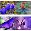 DIY алмазная живопись животное вышивка крестиком бабочка Алмазная вышивка полная круглая дрель горный хрусталь ручной работы домашний декор подарок